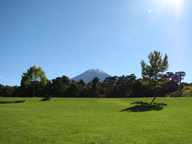 Fuji pines park