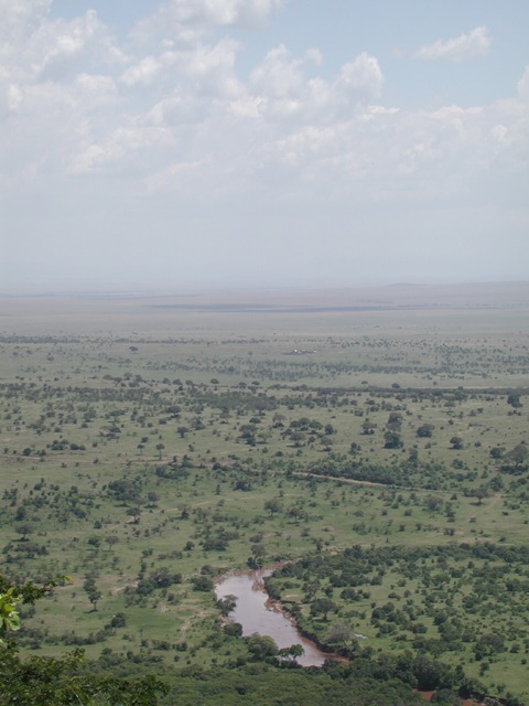 Masai Mara N. R., Kenya