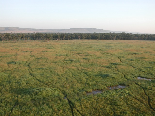 Masai Mara N. R., Kenya