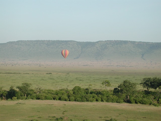 Masai Mara N. R., Kenya