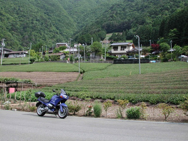 県道388