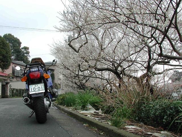 小田原-曽我