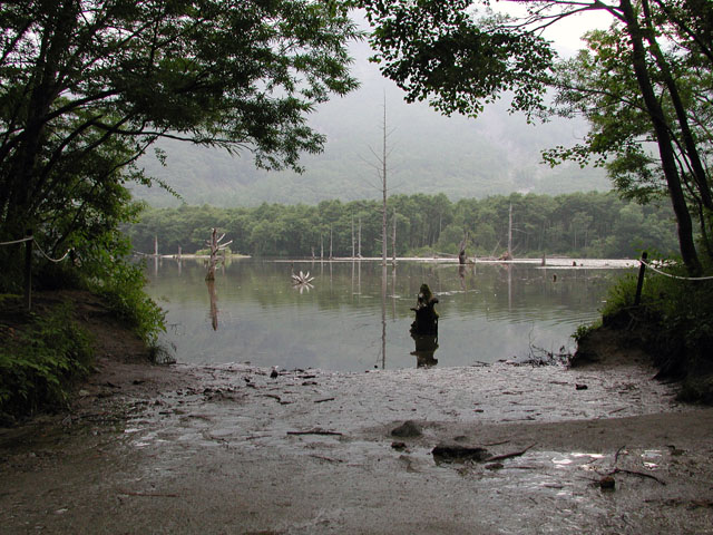 Taisho pond