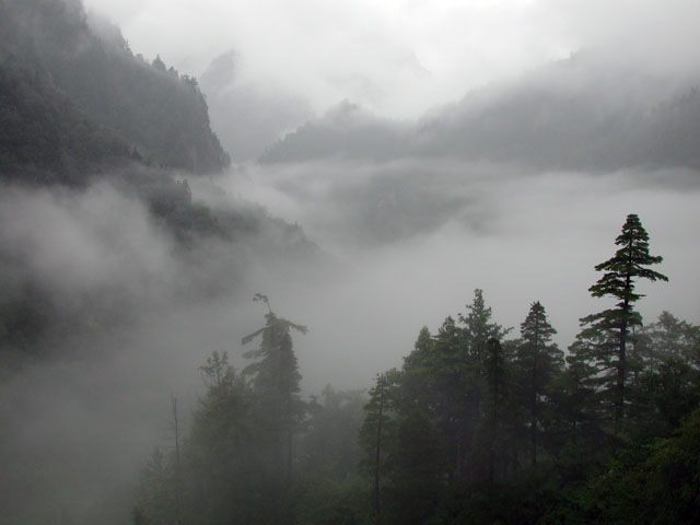 Kurobe dam