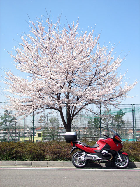 Hodogaya park