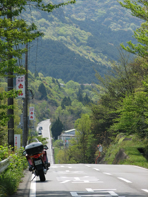 Sunny Road