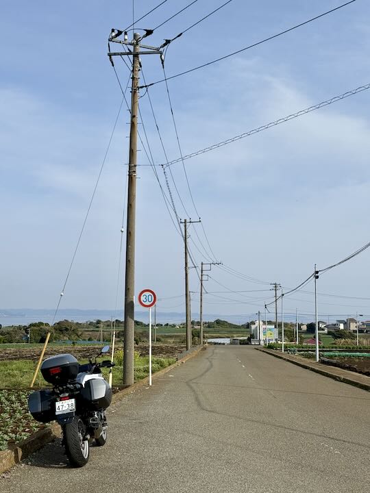 OYs쉺Y