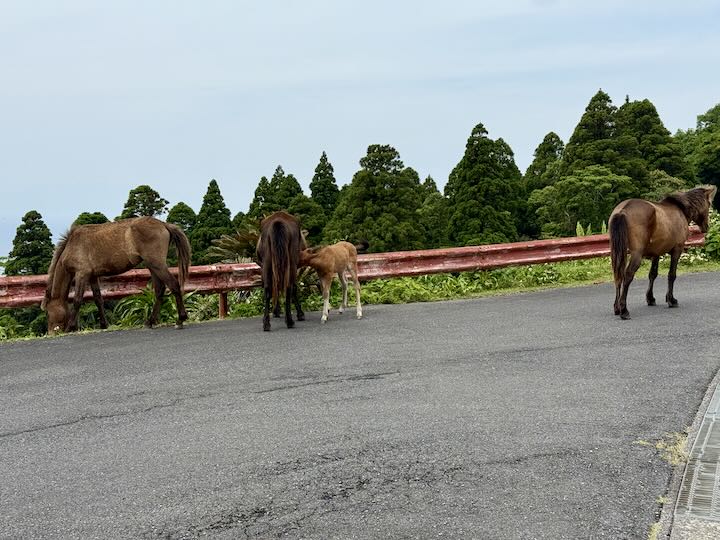 s䖦
