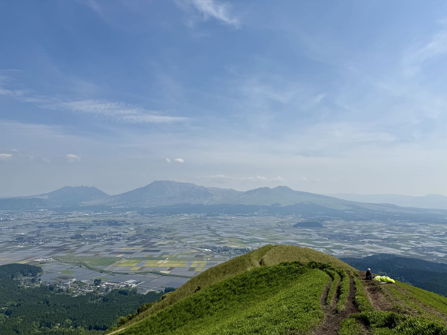 Daikambo