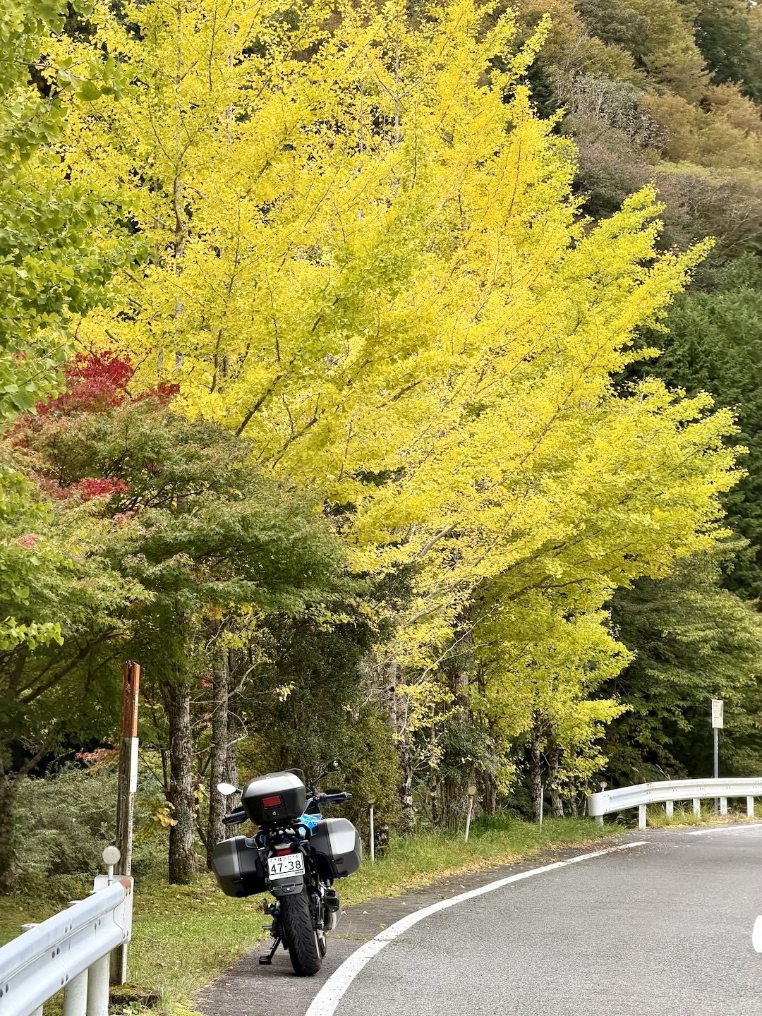 Shizuoka pref. road 59