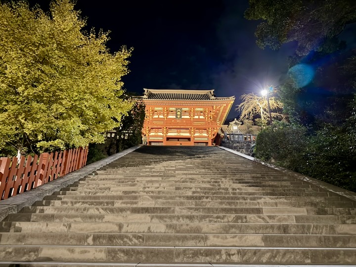 �߉������{