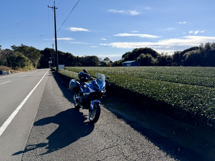 ����242 ��O��s�������