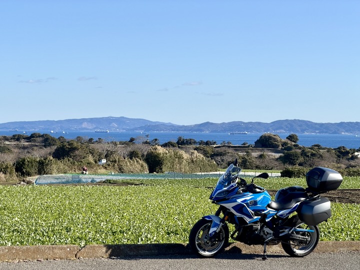 �O�Y�s�쉺�Y������