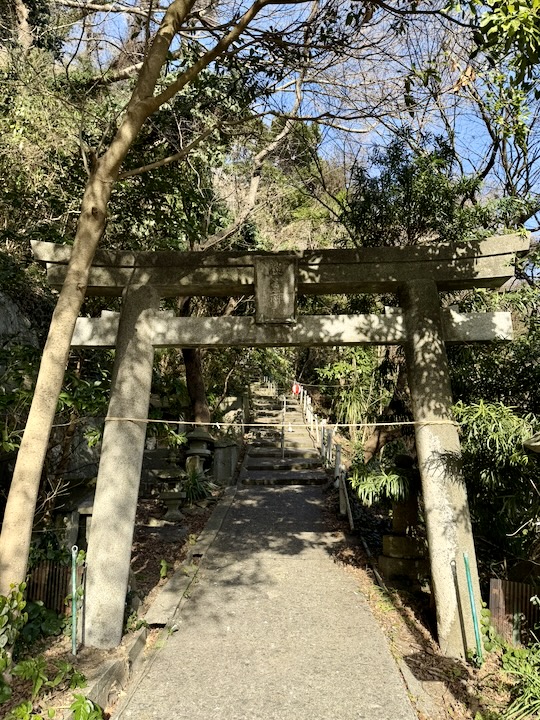 �W���_��