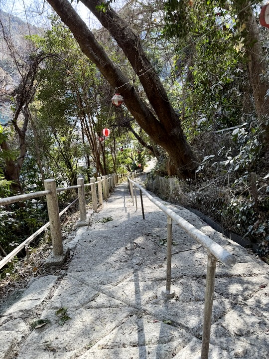 �W���_��